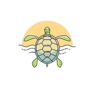 矢量插画耳朵乌龟海洋生物图标集爬行动物图标集, 卡通风格有趣的海龟