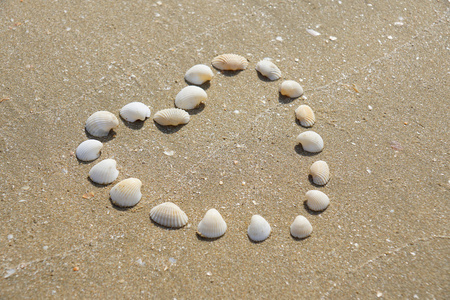 像贝壳心的形状贝壳做成的沙滩上照片