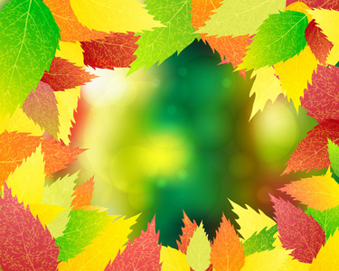 秋天树叶的背景。矢量