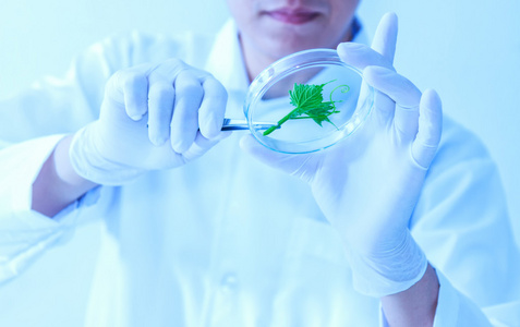 科学, 生物学, 生态学, 研究的概念照片