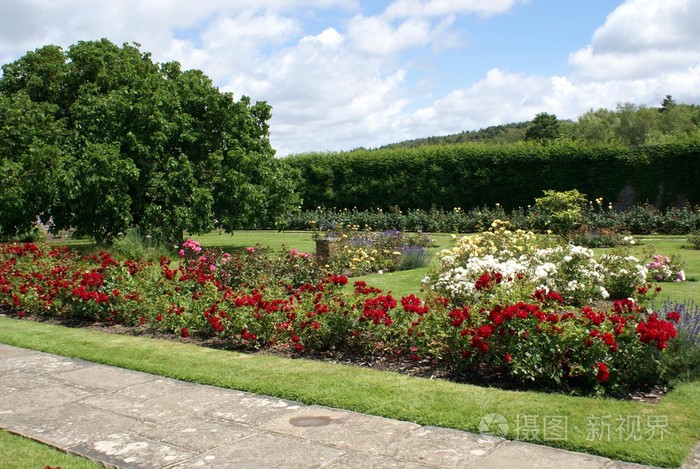 在赫斯特蒙苏,东苏塞克斯,英国,欧洲的赫斯特蒙苏城堡玫瑰园