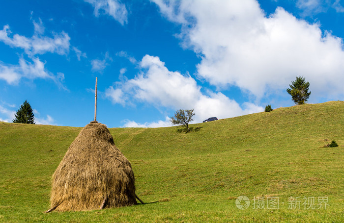 在一片草地的草堆