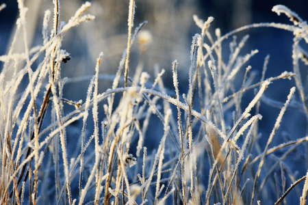 雪霜纹理