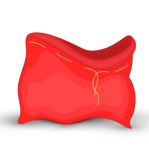 袋圣诞老人。圣诞红袋的插图。新的一年集合。白色背景上孤立