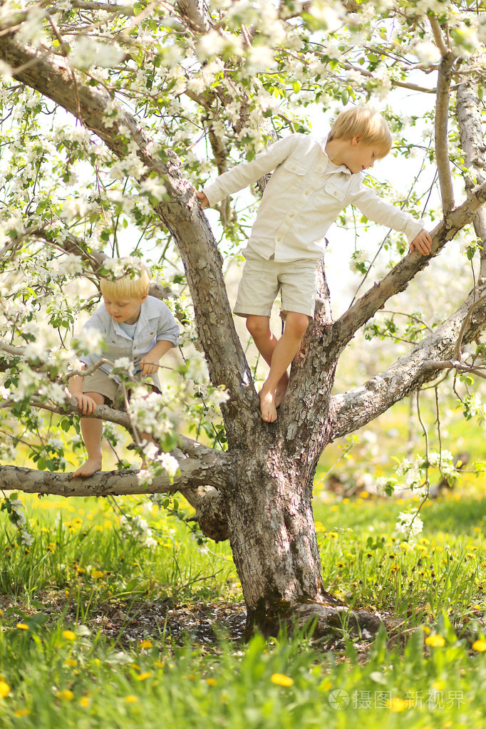 小朋友爬树摘花图片