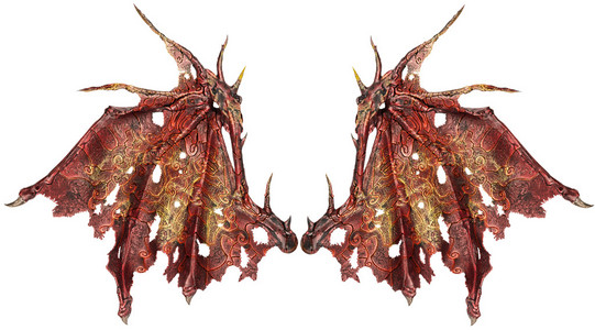 孤立的龙翅膀照片