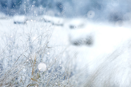 雪花干草