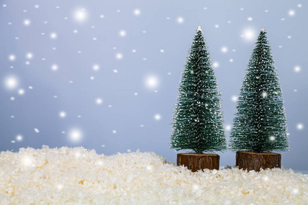 在雪地里的两棵圣诞树