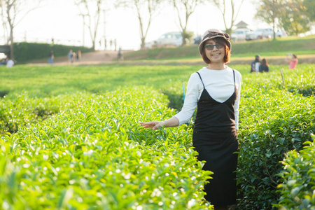 亚洲女人茶园