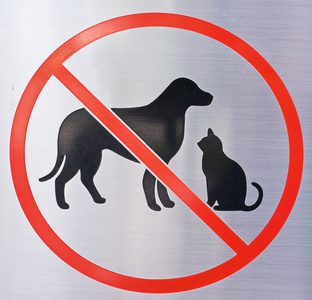 禁止的狗与猫标志