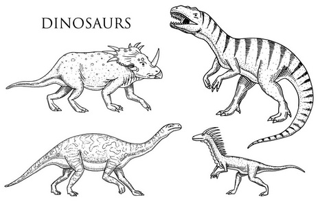 恐龙霸王龙, 迅猛, Ceratosaurus, Afrovenator, 斑, Tarbosaurus, Struthiomi