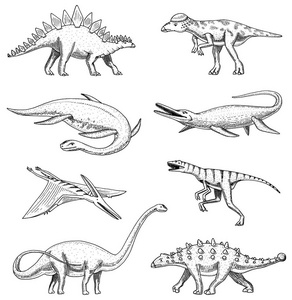 恐龙依拉丝莫龙, mosasaurus, barosaurus, 梁龙, 环江, 甲龙, 三角