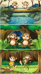 猴子在森林里的三个场景