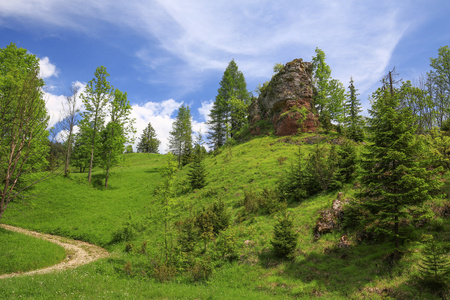 波兰 Pieniny 国家公园的风景