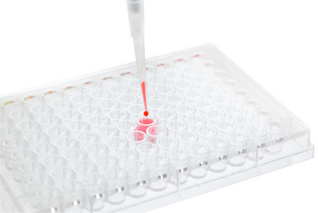 移液管测试样品研究测试实验室酶联免疫吸附试验 96 孔板分析