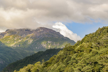 巴塔哥尼亚森林景观, 艾森, 智利