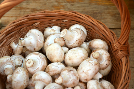 原料白蘑菇香菇在一个篮子里照片