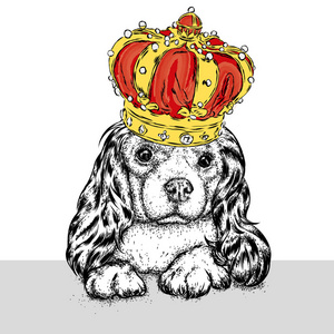 漂亮的小狗皇冠上。可爱的小猎犬。纯种的小狗。矢量图的一张明信片或海报，打印的衣服和配件。一位公主
