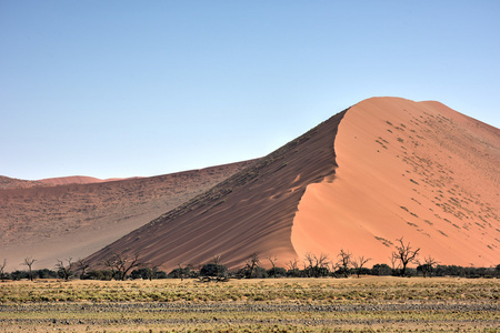 纳米比亚纳米布沙漠