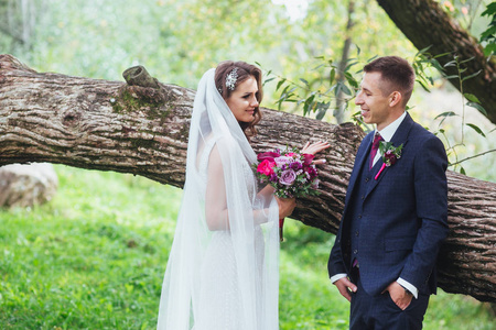 婚礼夫妇在自然公园的婚礼