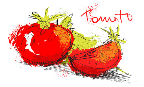 矢量剪影番茄插画切片西红柿和沙拉