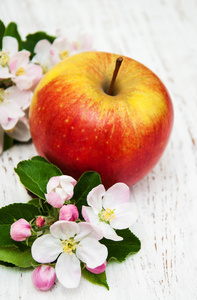 苹果和苹果的树花