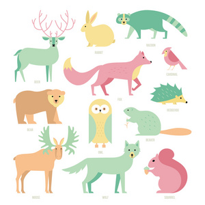 森林动物一组