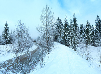 小冬天流与雪树