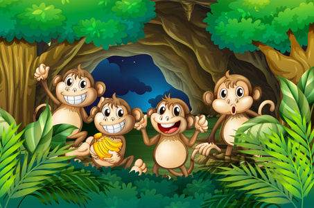 在森林深处的快乐猴子图片