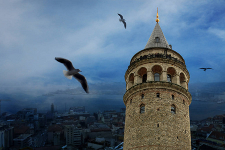塔塔在伊斯坦布尔金角