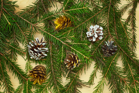 背景枞树树枝和多彩圣诞树锥照片