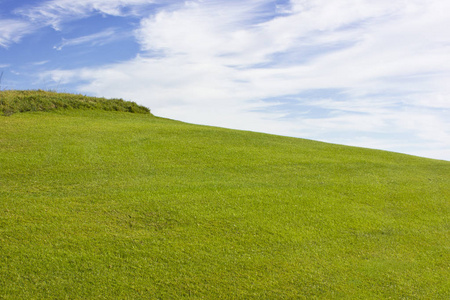 贝莱克球场田野上的青草。蓝天, 阳光大