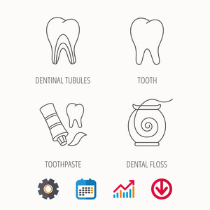 牙 牙本质小管和牙线图标