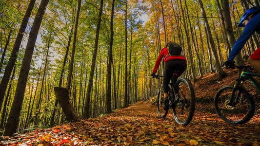 骑自行车，周期山骑自行车的人夫妇在秋天的树林小径