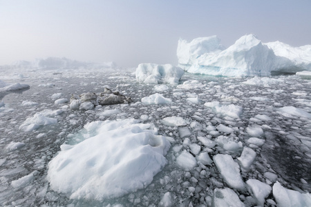 白色旅行冬季冰海 科学研究海洋深度