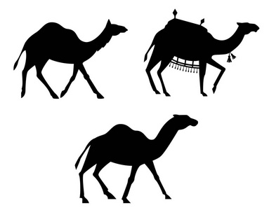 骆驼剪影