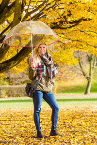 女人用的伞公园散步