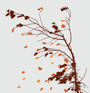 树枝在秋风中飘落