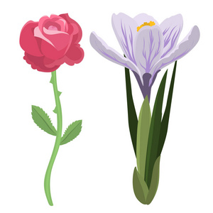 美丽的春天花植物绽放水彩绘画夏天分支花瓣装饰花束自然设计矢量插图