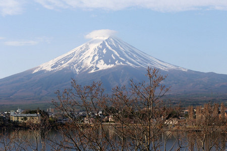 樱花是不开花和富士山美景