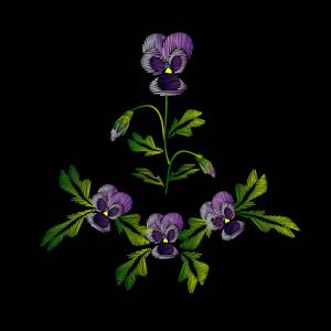 刺绣的牛仔裤。顺利。淡紫色的花紫罗兰带芽。花朵图案。传统的民间装饰。在黑色背景上的矢量图