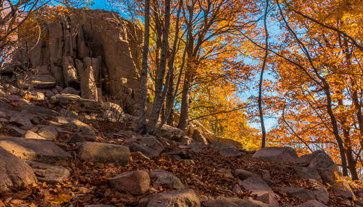 Montseny 自然公园, 在秋季的一天, 位于二十世纪七十年代