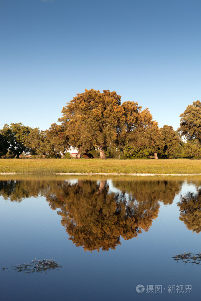 风景秀丽的河岸边