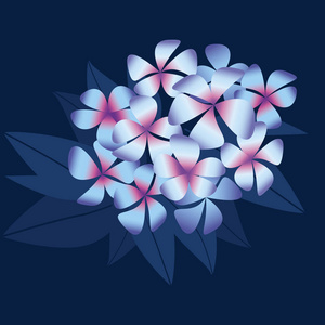 夜花夜开花图片 夜花夜开花素材 夜花夜开花插画 摄图新视界
