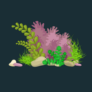 设置隔离多彩的珊瑚和藻类 矢量水下植物区系 动物区系