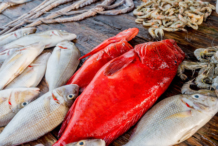 新鲜的鱼和海鲜市场图片