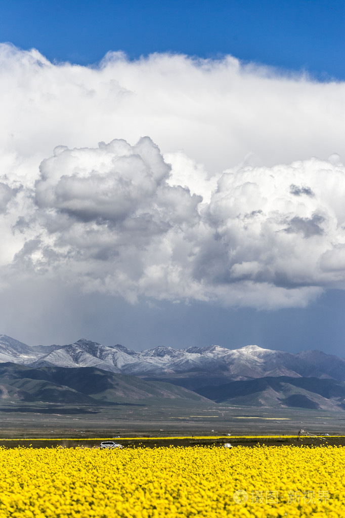 青海湖风光和雪山