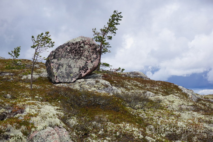 在山坡上的石头