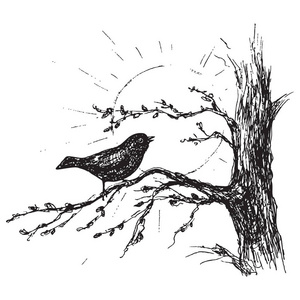 素描鸟在树上唱歌