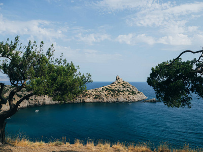 海, 山和松树在夏季的蓝天前